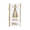 Transfer BSA 650, Matrícula Trasera Oro