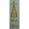 Transfer BSA Lightning 650